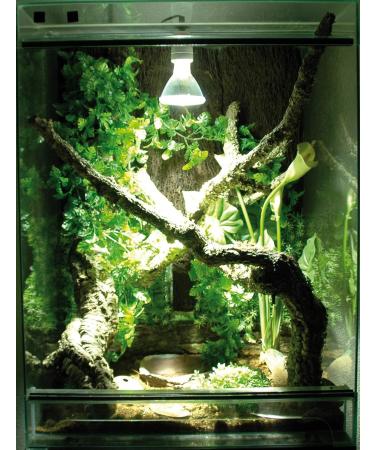 Buy Lucky Reptile Bright Control Evo - 35W Electronic Ballast for Metal Stamping Lamps | UV Spotlights & Terrarium Lighting Accessories - Buy Online on GoSupps.com