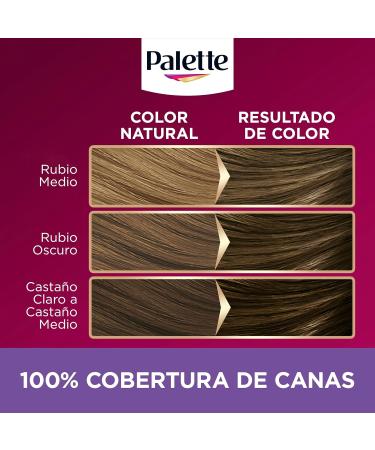 Henkel Ib rica Schwarzubt Palette Intensive Creme Color 71 Medium Asblond Optic gray coverage permanent care with marginals longlasting color to 8 weeks - Buy Online on GoSupps.com