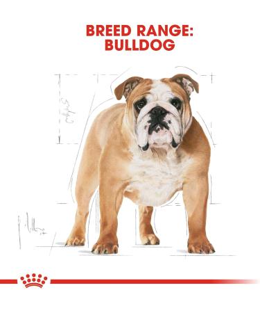 ROYAL CANIN BULLGOG ENGLISH ADULT Bag of 12 kg croquettes for adult English Bulldog (12 months) - Buy Online on GoSupps.com