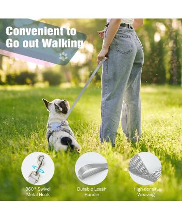 Pawaboo Dog Harness & Leash Set - Adjustable Anti Pull Chest Harness for Small & Medium Dogs - Breathable Vest (L Blue) - Buy Online on GoSupps.com