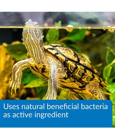API Turtle Products: Sludge Remover, Water Conditioner, TURTLEFIX Remedy - 8-Ounce Aquarium Cleaner - Buy Online on GoSupps.com
