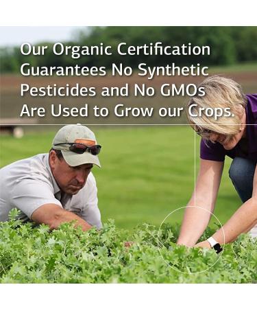 Standard Process OPC Synergy - Brain & Eye Health Support with Bilberry, Grape Seed Extract, Green Tea - 40 Capsules - Buy Online on GoSupps.com