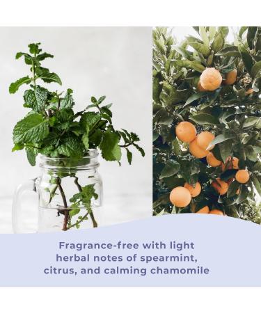 VOXA POD Period Cramp Relief Cream | Natural Menstrual Support | Soothe PMS Symptoms Discomfort | Fast-Acting Arnica Montana + Chamomile Made in USA by Women - Buy Online on GoSupps.com