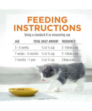 Purina Kitten Chow Dry Kitten Food - (4) 3.15 lb. Bags - Supports Muscle and Brain Development - Buy Online on GoSupps.com