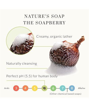Tree To Tub Lavender Body Wash for Sensitive & Dry Skin - pH Balanced Moisturizing Vegan Soap with Organic Shea Butter & Aloe Vera - 2 Pack - Buy Online on GoSupps.com