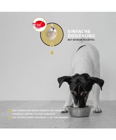 Peticare Probiotics & Prebiotics Powder for Dogs | Strengthen Immune System & Intestinal Health | Natural Allergy Relief | 500g - Petdog Health - Buy Online on GoSupps.com