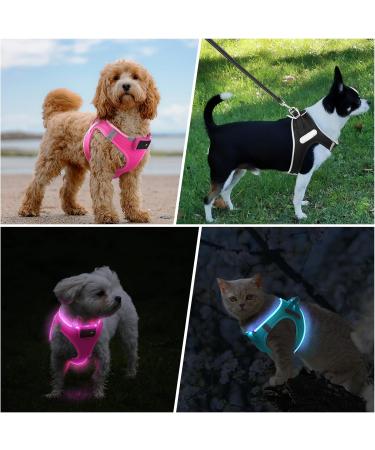 PCOTLLAR LED Dog Harness - Reflective Breathable & Illuminated Light Dish for Small to Medium Dogs - Pink - Buy Online on GoSupps.com