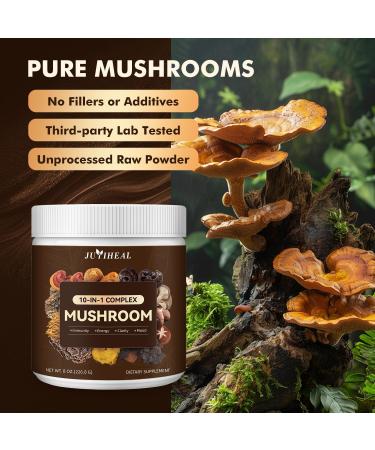10-in-1 Mushroom Powder Mushroom Complex - Lions Mane Reishi Shiitake Chaga Turkey Tail Cordyceps Maitake & More Mushroom Supplement Powder for Energy Memory Focus & Immune Support 8oz 8oz(10 in 1) - Buy Online on GoSupps.com