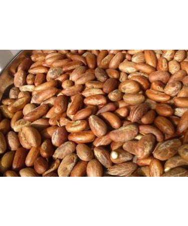 Bitter Kola Fresh Garcinia Kola Approx 400g - Buy Online on GoSupps.com