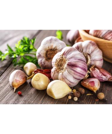 garlic vitamins - GARLIC AND PARSLEY ODORLESS FORMULA - garlic and parsley pills garlic and parsley supplements Odorless organic garlic and parsley supplements Gluten Free 3 Bottles 300 Capsules - Buy Online on GoSupps.com