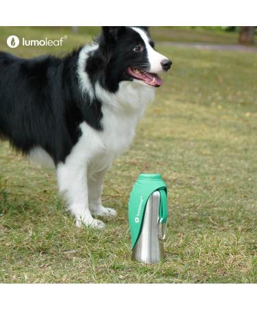Buy Lumoleaf 800ml Portable Dog Water Bottle - Stainless Steel Travel Accessory for Hiking & Camping (Green) - Buy Online on GoSupps.com