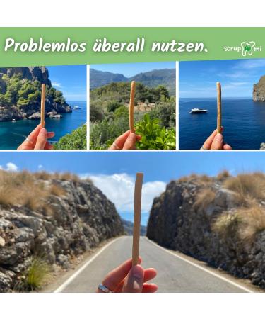 Scrupmi Miswak Toothbrush | 4-Pack | Eco-Friendly Vegan Biodegradable | 100% Natural & Plastic-Free for Travel - Buy Online on GoSupps.com