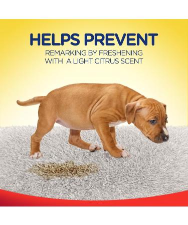 Resolve Pet Specialist Urine Destroyer - Stain & Odor Remover 32 Fl Oz | Best for Pet Accidents - Fast Shipping Internationally - Buy Online on GoSupps.com