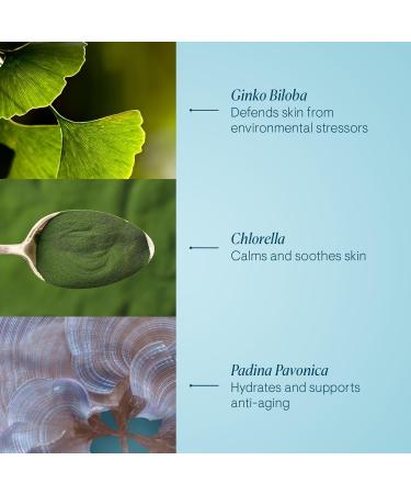 ELEMIS Pro-Collagen Marine Cream SPF30 50ml - Anti-Wrinkle Daily Moisturizer for Smooth, Glowing Skin - Suitable for All Skin Types - Buy Online on GoSupps.com