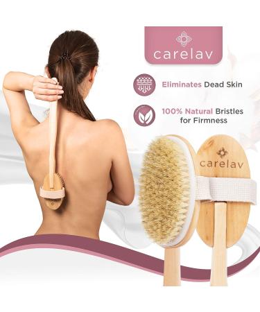 Premium Dry Brushing Body Brush Set | Medium Boar Bristles for Exfoliating & Cleansing | Lymphatic Drainage | Skin Beauty Brush with Handle, Face Brush & Shower Gloves - Buy Online on GoSupps.com