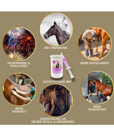 Magnesium Horse 1 kg 30 ml Calm Relax Powder + Booster with Magnesium Vitamin E I Against Anxiety & Stress I Anti Stress Soothing Nerves Nerves & Stress Reduction for Transport Nervous Horses - Buy Online on GoSupps.com