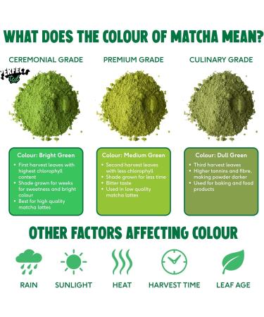  Perfect Ted PerfectTed Original Japanese Matcha Powder Ceremonial Grade 100g (100 Servings) Stone Ground Green Tea Perfect for Lattes - Buy Online on GoSupps.com