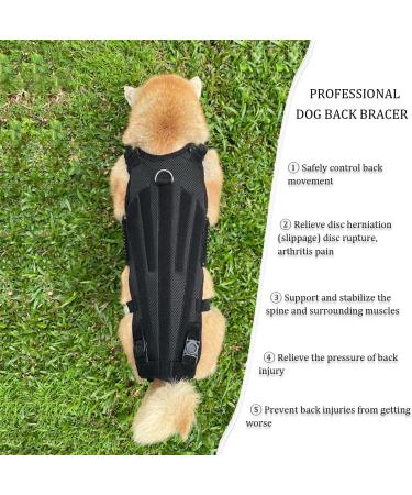 Dog Back Brace IVDD Pet Hip Brace Support with Leash Comfortable Dog Spine Support Vest for Small and Medium Sized Pets with Arthritis Herniated Disc Or Spinal Surgery Recovery (XL) - Buy Online on GoSupps.com