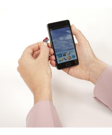 SanDisk Ultra 32GB microSDHC UHS-I Card with Adapter - Silver, 32GB Standard Packaging - Buy Online on GoSupps.com