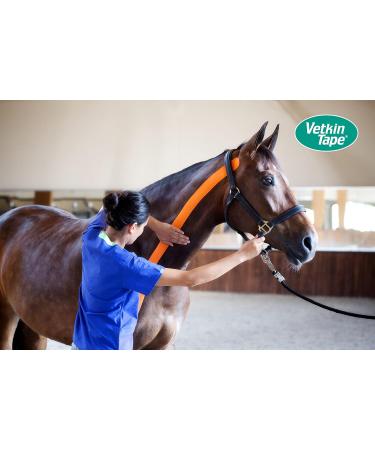 Vetkintape Kinesiology Tape for Animals - Red (3cm x 5m) | Latex-Free T V-Certified Kinesiotape for Horses & Dogs | 25% Stronger Adhesive | Pack of 2 Rollers - Buy Online on GoSupps.com