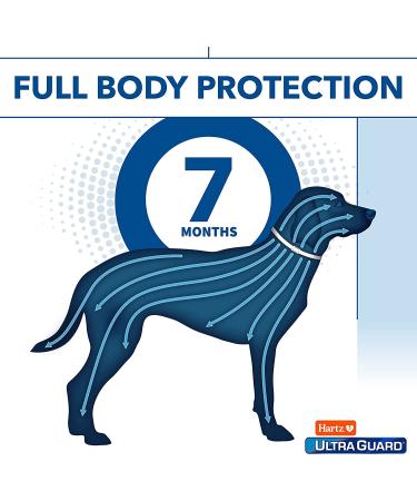 Hartz UltraGuard Plus Reflective Orange Flea & Tick Collar for Dogs and Puppies - Buy Now for Effective Pest Protection! - Buy Online on GoSupps.com