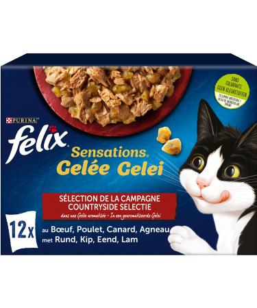 FELIX Sensations Jelly | adult cat | selection of beef chicken duck lamb | 12 x 85 g | freshness pouch