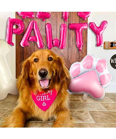 JeVenis Dog Birthday Party Balloon Garland Kit - Pawty Supplies for Puppy Birthday Celebration - Pink Dog Decorations - Buy Online on GoSupps.com