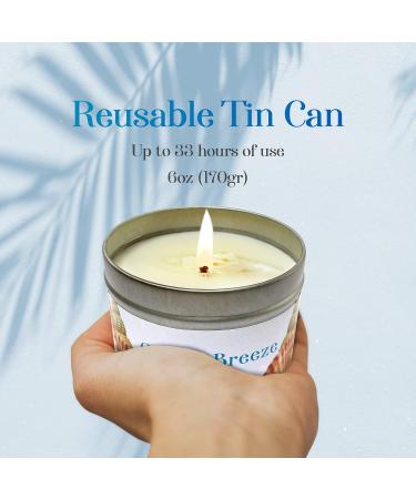 Chandelita Sea Breeze Fragrance Candle | Natural Soy Wax & Mussels | Relax & Meditate for Well-Being - Buy Online on GoSupps.com