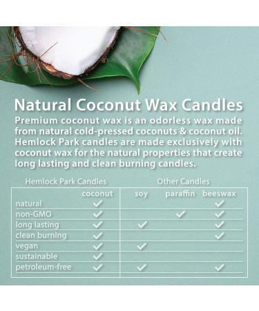 Buy Hemlock Park Travel Inspired Passport Candle - Handcrafted Coconut Wax | Lake Tahoe Sugar Pine & More - 7.2 oz - Buy Online on GoSupps.com