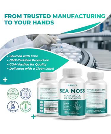 SEA Moss Black Seed Oil Ashwagandha Ginger 16-in-1 Formula - with Burdock Bladderwrack Turmeric Non-GMO Gluten-Free Soy-Free 150 count (pack of 1) - Buy Online on GoSupps.com