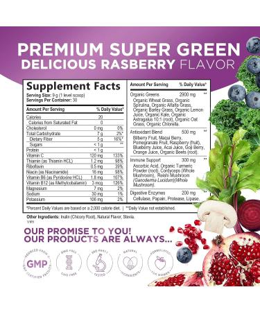 Super Green Smoothie Mix with Spirulina, Wheat Grass, Chlorella, Beets - Vegan Berry Flavor (30 Servings) - Buy Online on GoSupps.com