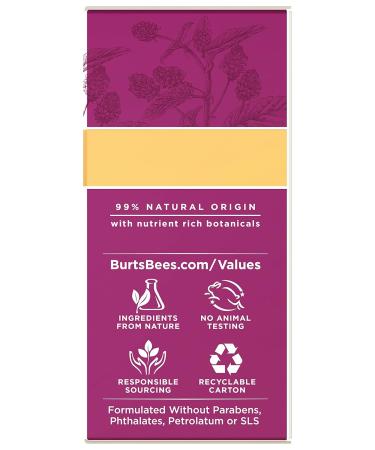 Buy Burts Bees Renewal Smoothing Eye Cream 0.58 oz - Best Anti-Aging Eye Cream for Dark Circles & Puffiness - International Shipping Available - Buy Online on GoSupps.com