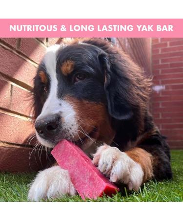 Floppy Ear Himalayan Yak Chews for Dogs - 100% Natural Yak Milk Dog Chew Rich in Protein & Calcium Long Lasting Chews Provides Healthy Teeth & Gums | Strawberry Flavour 3 Medium Chews strawberry medium size 60-80g (3 chews) - Buy Online on GoSupps.com