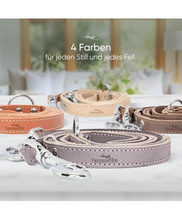 Freudenier 2m Adjustable Dog Leash | Certified Leather | Stylish Gray-Brown | High Quality | Amstelpark Collection | Made in Holland - Buy Online on GoSupps.com