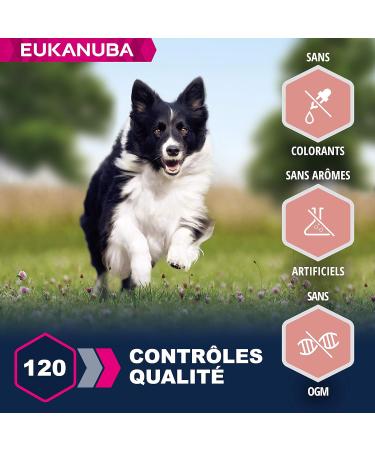 Eukanuba Senior Adult Dog Dry Food For Small and Medium Breeds Lamb & Rice 2.5kg - Buy Online on GoSupps.com