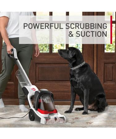 Hoover PowerDash Compact Carpet Cleaner FH50711CN PowerDash White & Red - Buy Online on GoSupps.com