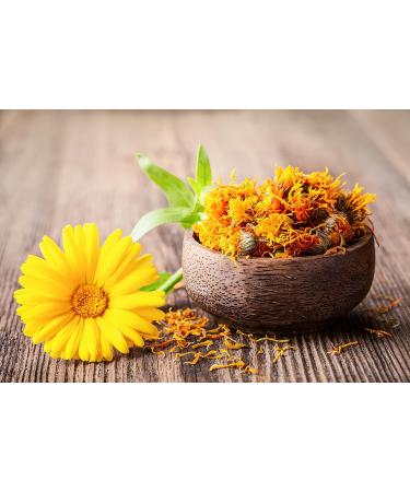 Natures PROTE White Dog Puppy Grain Free Salmon 1.5KG - Buy Online on GoSupps.com