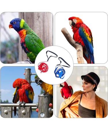 2pcs Harness Adjustable Bird Blue Leash Conure Lovely Traction Wing Training Conical with Pet for S Assorted Color - Buy Online on GoSupps.com