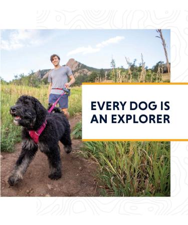 Buy RUFFWEAR Front Range Dog Harness | Reflective Padded No-Tug Twilight Grey XS - Best for Small Dogs - Buy Online on GoSupps.com