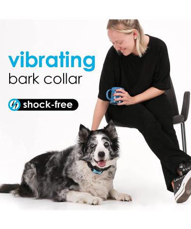 DogRook Anti Bark Collar for Small, Medium, and Large Dogs - Rechargeable & Shock-Free Bark Collar (8-110lb) - Blue - Buy Online on GoSupps.com