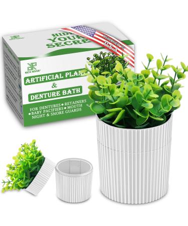 Denture Bath, Invisible Denture Case Designed As Artificial Eucalyptus Potted Plants, Denture Cup With Strainer For Retainer, Mouth Guard & Dentures, Perfect For Home Decoration WHITE