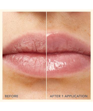 Beekman 1802 Oh! Mega Milk Lip Oil - Fragrance Free Lip Hydration with Squalane & Goat Milk - Cruelty Free - 0.14 fl oz - Buy Online on GoSupps.com
