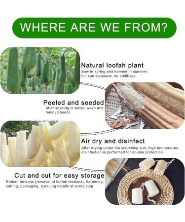 Biodegradable Luffa Sponges | Natural Dead Skin Remover | Eco-Friendly Kitchen & Personal Hygiene | 10cm x 7cm - Buy Online on GoSupps.com