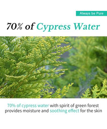 Hydrating Korean Serum with Centella Asiatica & Hyaluronic Acid Serum | Barrier Repair Ampoule for Sensitive & Acne-Prone Skin Lightweight Facial Serum 1.69oz(50ml) - Buy Online on GoSupps.com