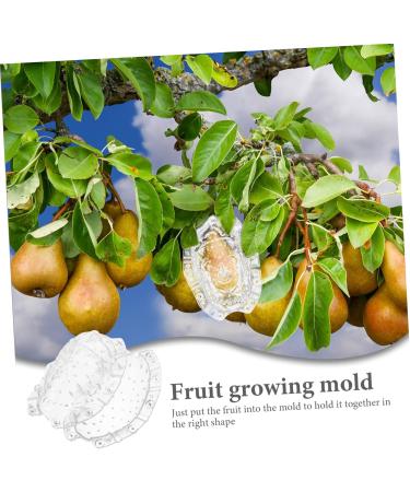 SEWOART Vegetable Mold Fruit Melon Shaping Mold Vegetable DIY Multifunction to Play with - Buy Online on GoSupps.com