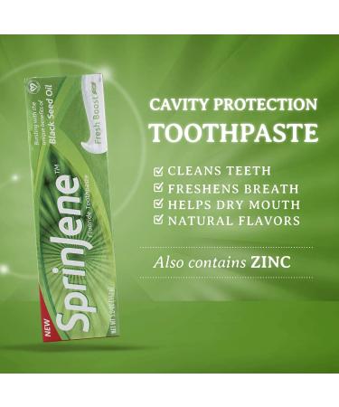 SprinJene Fluoride Toothpaste 2 Pack - Vegan Cruelty-Free Black Seed Oil & Zinc for Natural Teeth Whitening - Fresh Boost 5oz - Buy Online on GoSupps.com