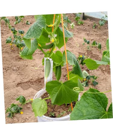 Abaodam 8 Pcs Shaped Strawberry Tool Fruit Molds Heart Fruit Shaping Chocolate Accessories - Buy Online on GoSupps.com