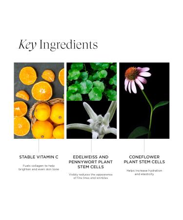 Intelligent Nutrients Re:generative Super Power C Serum Age-Defying Vitamin C Formula Smoothes Softens and Firms With Plant Stem Cell Science 1 Oz - Buy Online on GoSupps.com