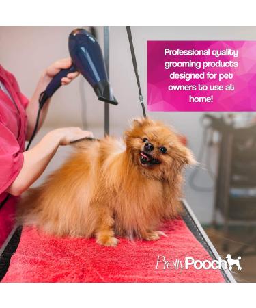 Pretty Pooch Gentle Touch Dog Shampoo & Conditioner - 2L Baby Powder Fragrance | Non-itchy Deep Cleaning for Dogs with Sensitive Skin - Buy Online on GoSupps.com