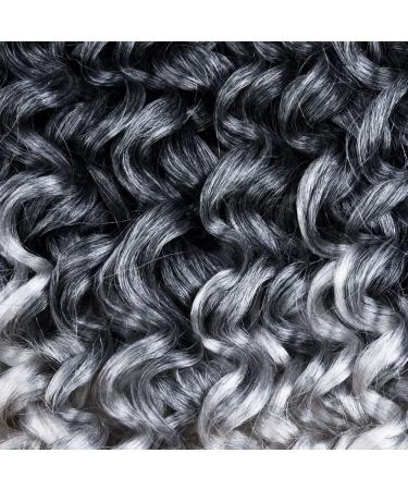 Short 10 inch Grey Curly Crochet Hair for Black Women - Water Wave Ocean Wave Gogo Curl Crochet Braids (TGREY) - Buy Online on GoSupps.com